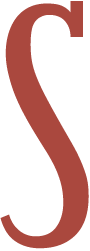logo S